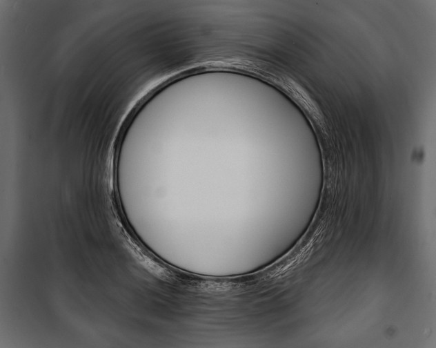 X0000100921036200806241108
