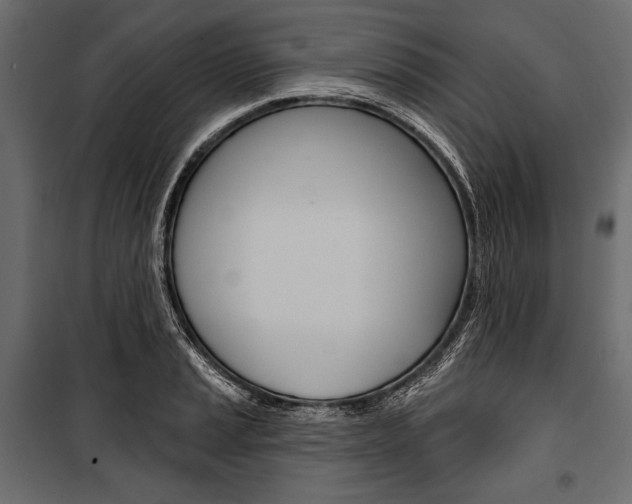 X0000100921037200806241108