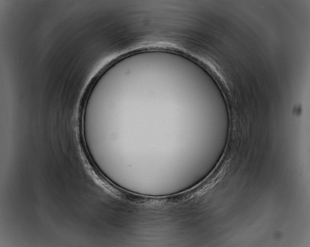 X0000100921038200806241108