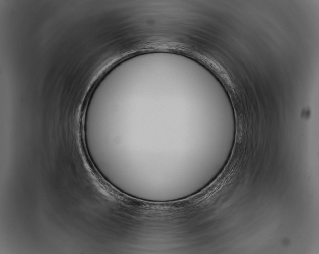 X0000100921039200806241108