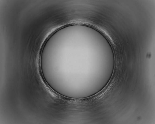X0000100921040200806241108