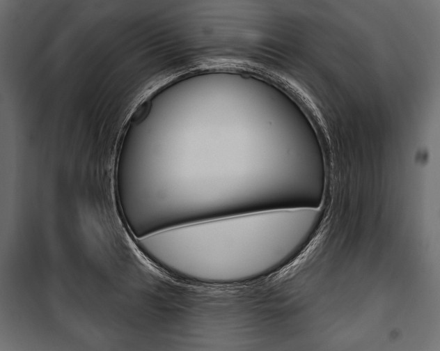 X0000100921041200806241108