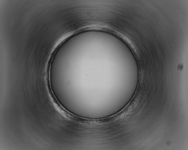 X0000100921042200806241108
