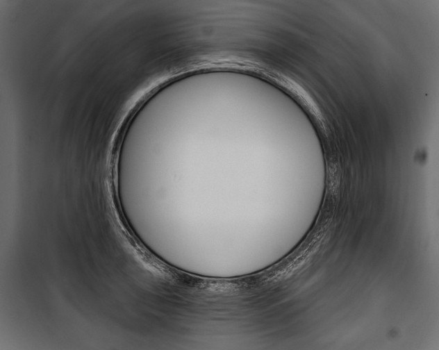 X0000100921043200806241108