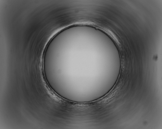 X0000100921044200806241108