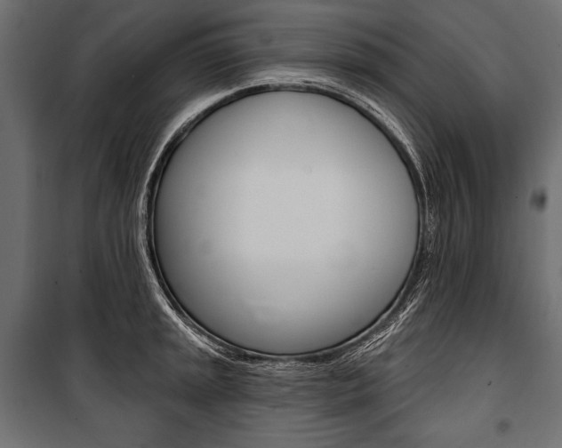 X0000100921045200806241108