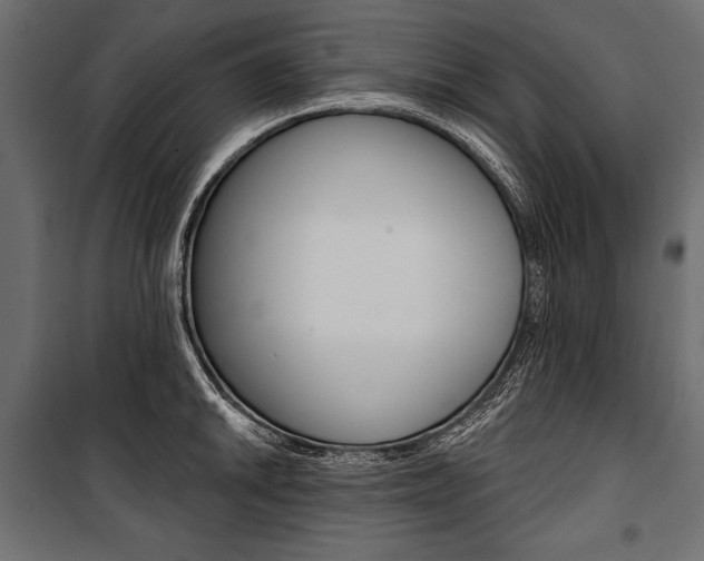 X0000100921046200806241108