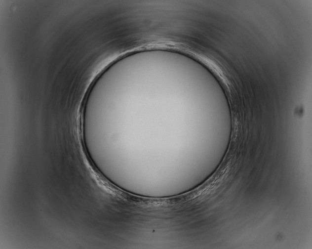 X0000100921047200806241108