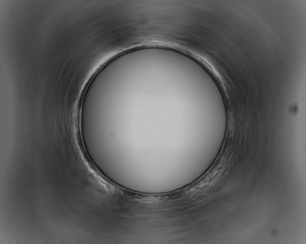 X0000100921048200806241108