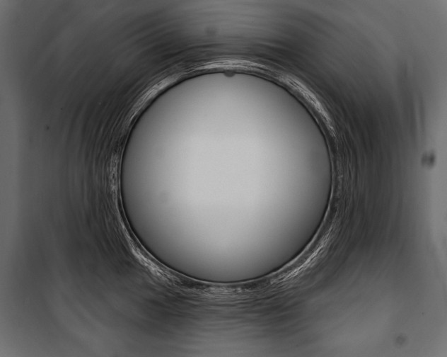 X0000100921049200806241108