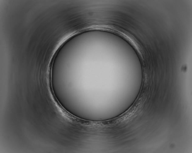 X0000100921050200806241108