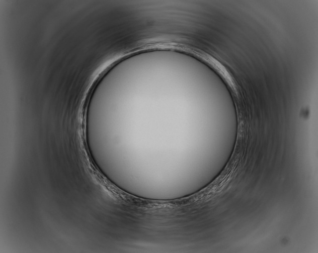 X0000100921051200806241108