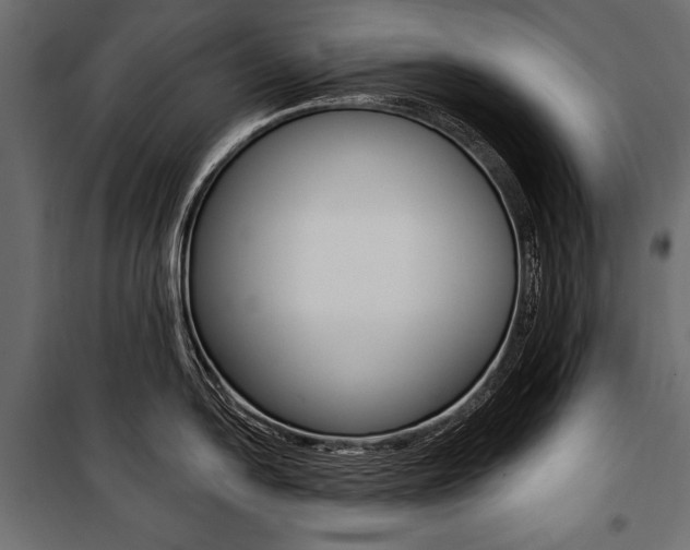 X0000100921054200806241109