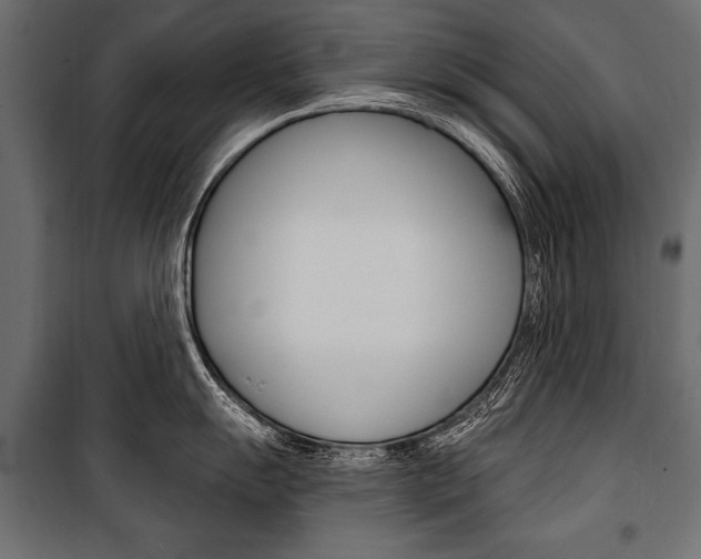 X0000100921055200806241109