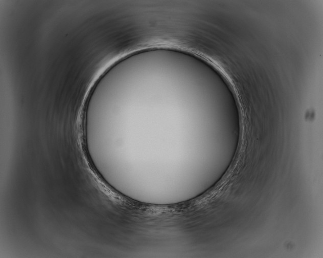 X0000100921056200806241109
