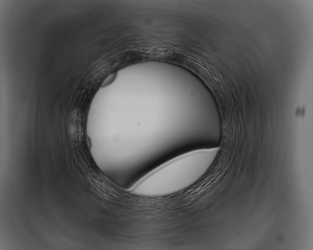 X0000100921058200806241108