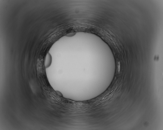 X0000100921059200806241108