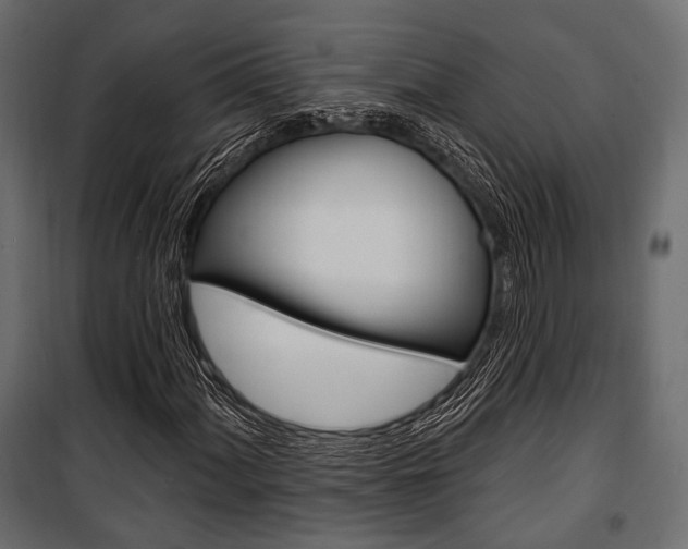 X0000100921060200806241108