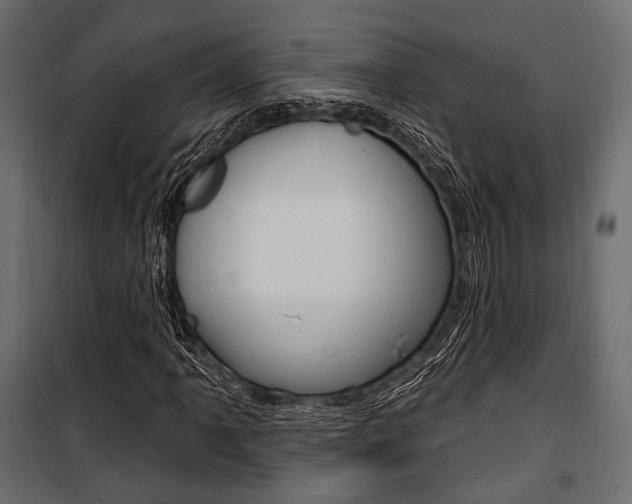 X0000100921061200806241108