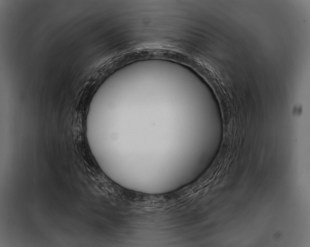 X0000100921062200806241108