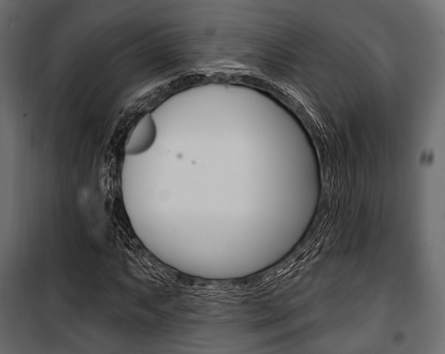 X0000100921063200806241108