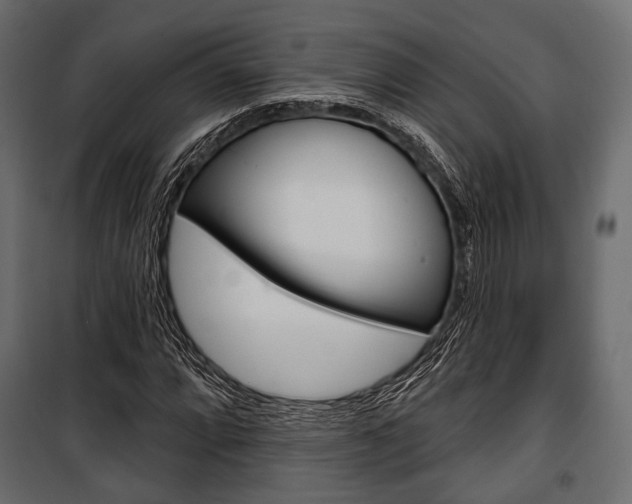 X0000100921064200806241108