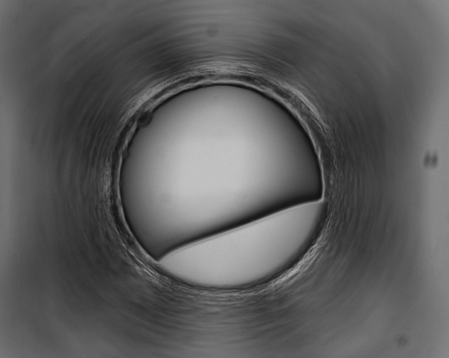 X0000100921065200806241108