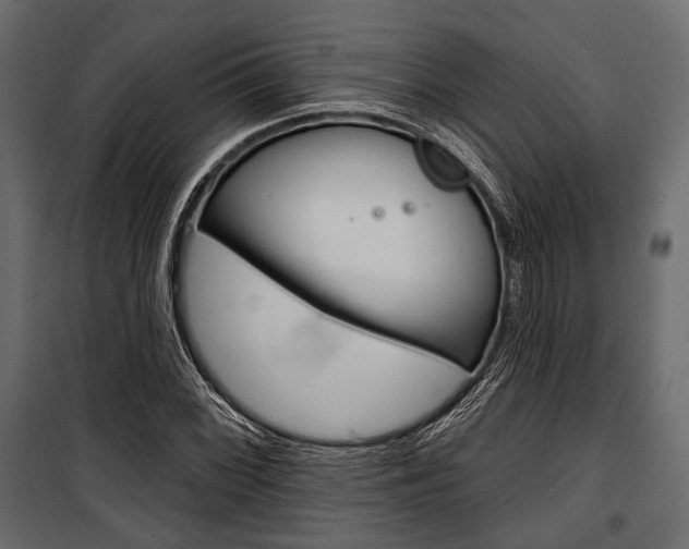 X0000100921068200806241108