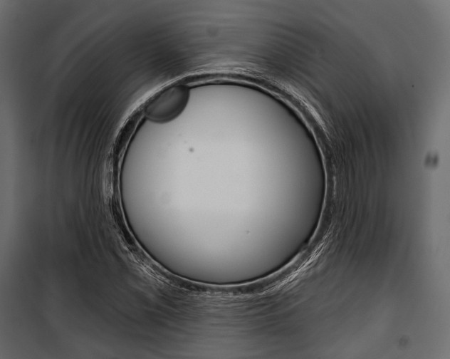 X0000100921069200806241108
