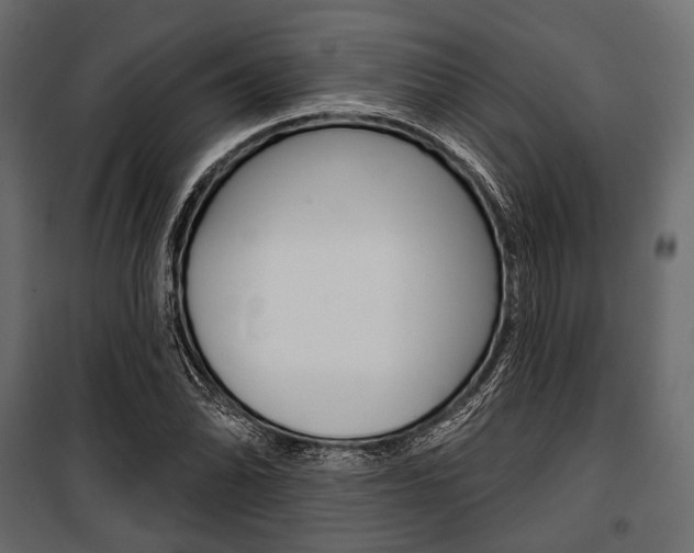 X0000100921070200806241108