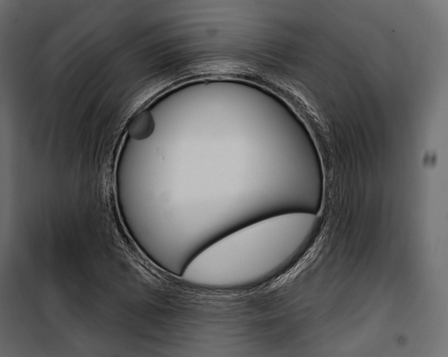 X0000100921073200806241108
