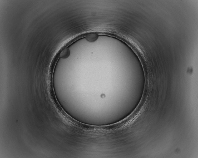 X0000100921077200806241108