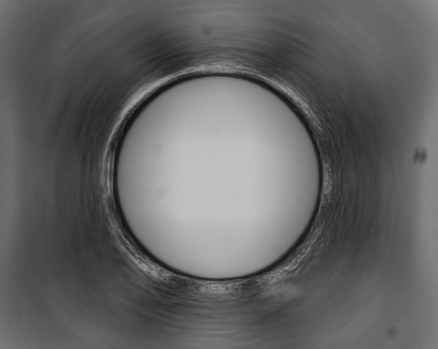 X0000100921078200806241108