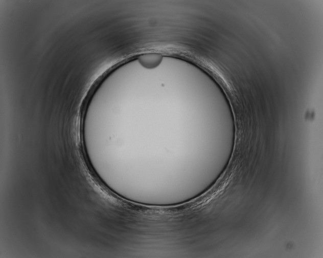 X0000100921079200806241108