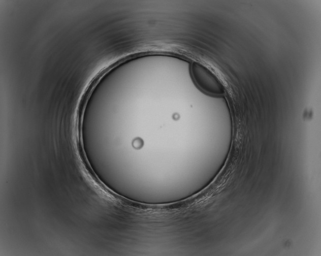 X0000100921080200806241108