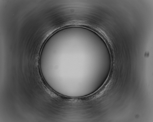 X0000100921081200806241108
