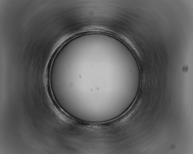X0000100921082200806241108