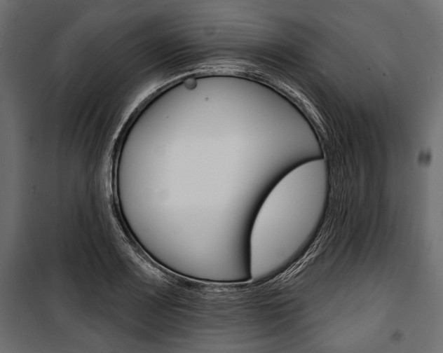 X0000100921083200806241107