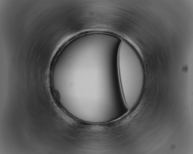X0000100921085200806241107