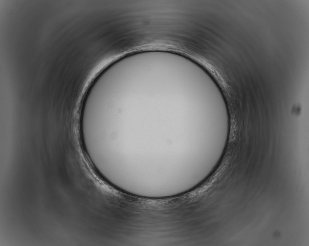 X0000100921086200806241107