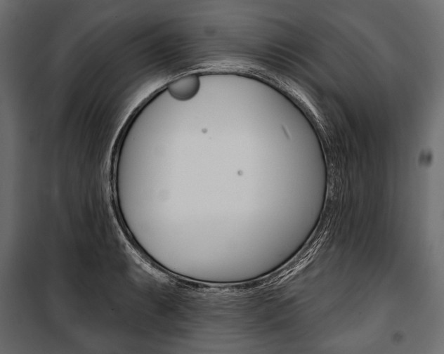X0000100921087200806241107