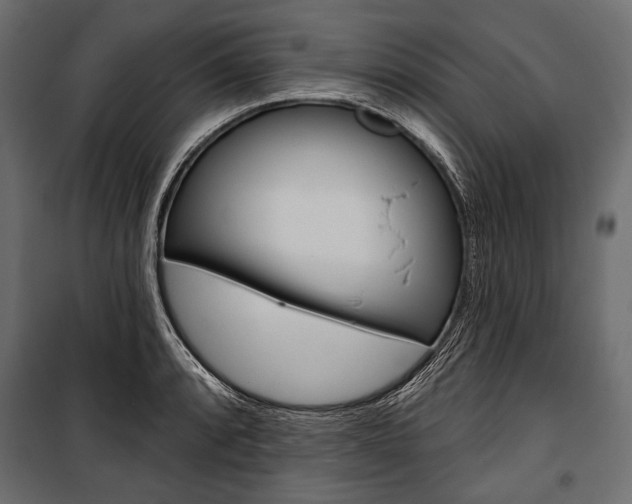 X0000100921088200806241107