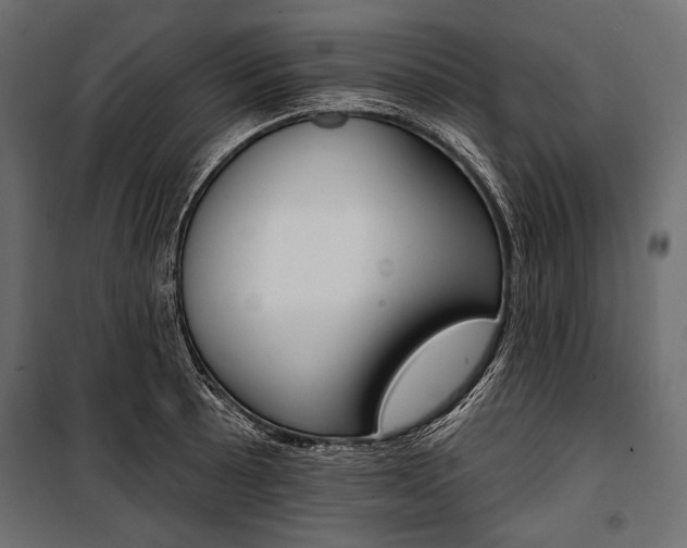 X0000100921089200806241107