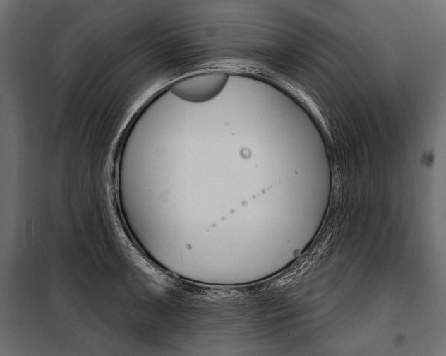 X0000100921091200806241107
