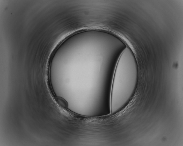 X0000100921093200806241107