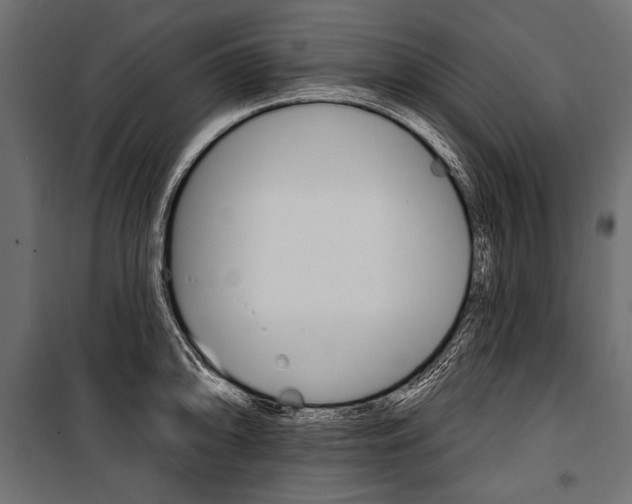 X0000100921094200806241107