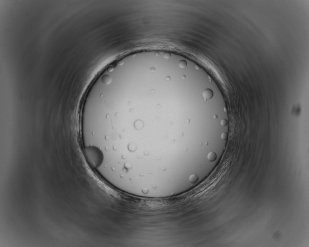 X0000100921095200806241107