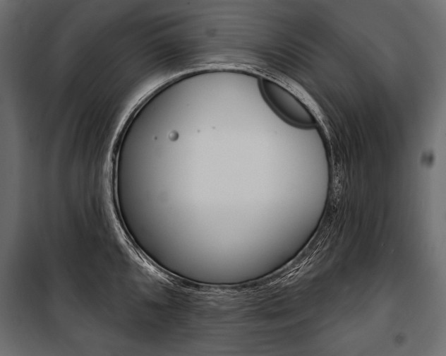 X0000100921096200806241107