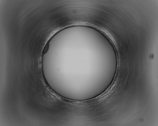 X0000100921097200806241107