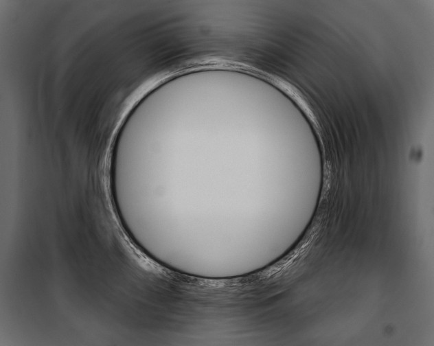 X0000100921098200806241107